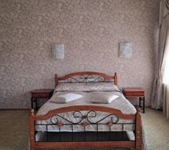 Номер люкс с 1 двуспальной кроватью в Шатура холл