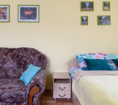 1-комнатные апартаменты, 41м² в Academia Pushkin Park