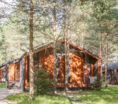 Дом с камином, сауной и купелью (до 8 гостей) ОЛИМП в Berloga Country Resort