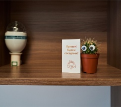 Studio Standard в Radius Central House by Огни Rent