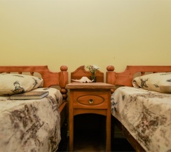 Стандартный 2х местный номер 1 этаж в Green oasis Vavilon