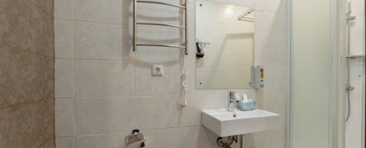 Пальма в Гости