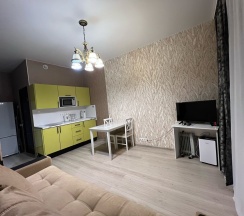 Квартира в Апартаменты на Мишина 34/1, кв 21/2
