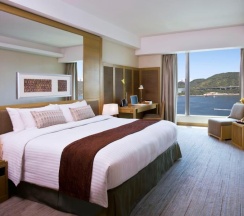 Двухместный номер с видом на океан двуспальная кровать в Royal View Hotel