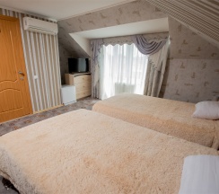 Стандарт ком. №6 в Золотой Лев