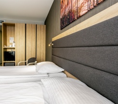 SUPERIOR двухместный (6,7,8 корпус) в Амакс Курорт Новая Истра