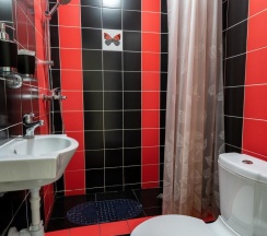 Номер улучшенный с 1 двуспальной кроватью (цокольный этаж) в Kovensky