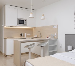 Стандарт с одной большой кроватью (Ботаника) в YES Botanica