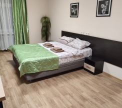 Стандартный номер с одной двуспальной кроватью (удобства на этаже) в Наш Питер