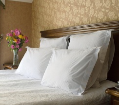 Номер полулюкс с 1 двуспальной кроватью в Барский флигель