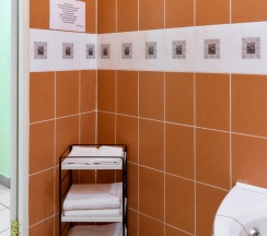 Номер стандарт с 1 двуспальной кроватью в Пантера