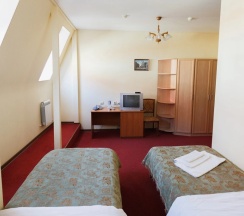 Двухместный номер Стандарт (двуспальная кровать) в Волга-Волга