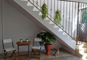 Апартаменты Надежда в Анапе