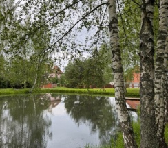 Дом №4 в Дом и Елки