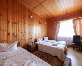 3-местный номер стандарт (с завтраком) в Kaskad house