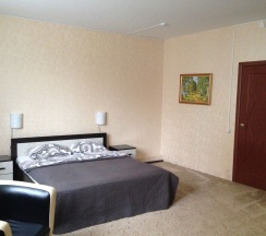 Двухместный номер с двуспальной кроватью в Афоня