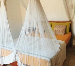 Двухместный номер Standard с видом на сад двуспальная кровать в Jasmine Garden Beach Guest House