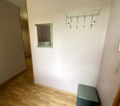 2-комнатные апартаменты стандарт 2-к. кв. ул. Токмакова 36 №42 в Декабрист на Токмакова 36