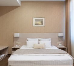 Стандарт в Горки