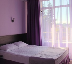 2-комнатный номер делюкс семейный в Триумф