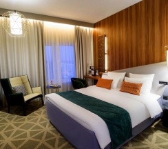 Номер стандарт с 1 двуспальной кроватью в Mercure Саранск Центр