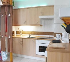 Апартаменты c 1 комнатой в Pension Pieschen Dresden