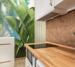 Номер-студия №10 в Mangosteen apartments