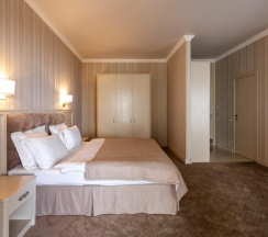 Номер полулюкс с 1 двуспальной кроватью в Аура