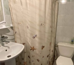 Классический в Дельфин