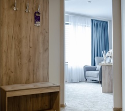 Делюкс в Topos congress-hotel