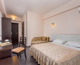 2-местный номер стандарт улучшенный (корпус В) в Русич