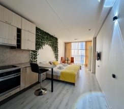 Видовая студия с панорамой 509Е в Nv Hotel