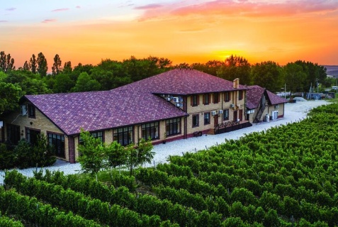 Семигорский: Мини-отель Винотеррия