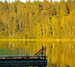 коттедж в Форт Верный