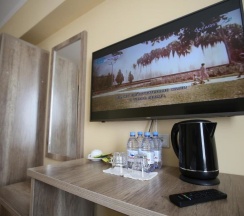 Двухместный номер Standard двуспальная кровать в Altai Business Hotel