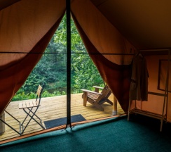 Палатки повышенного комфорта "Лесной домик" в Белка
