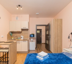 Студия 25 кв м Артлайн в SalutApart 17, Торфяная дорога 17/6