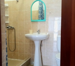 Стандарт семейный в Мята