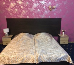 Номер Standard в Ника