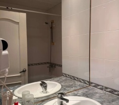 Двухместный номер Standard (двуспальная кровать) в Holiday