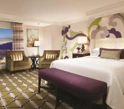 Двухместный номер Strip View (двуспальная кровать) в Bellagio