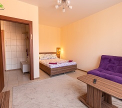 1-местные апартаменты улучшенные №17 в Siberia apartments
