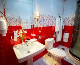 Люкс (LUXE, 302) в Велнесс