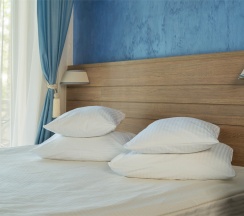 Делюкс в Аристократ