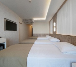 Трёхместный номер в Hotel Tara
