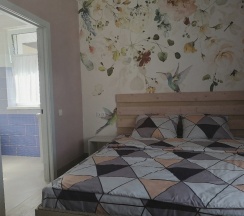 Двухместный номер Standard двуспальная кровать в Fikus