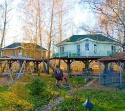 Ночь в доме на дереве в Волшебная страна