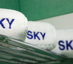 Стандарт двухместный с двумя кроватями в Skyотель