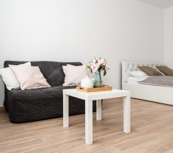 1-комнатные апартаменты стандарт №1 в Good House