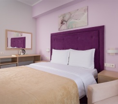 Delta Standard Double в Fioleto Ultra All Inclusive&SPA Anapa Miracleon